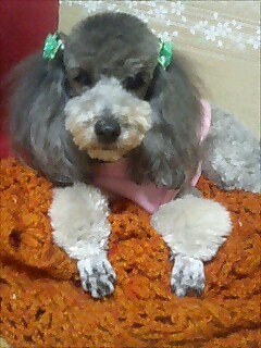 f:id:yukari57:20080224192405j:image