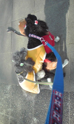 f:id:yukari57:20100125090628j:image f:id:yukari57:20100125090628j:image
