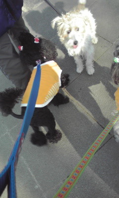 f:id:yukari57:20100125091151j:image f:id:yukari57:20100125091151j:image