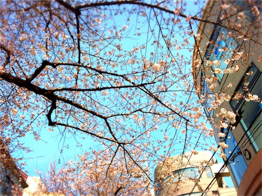 f:id:yukari_7hc9:20170406024525j:image f:id:yukari_7hc9:20170406024525j:image