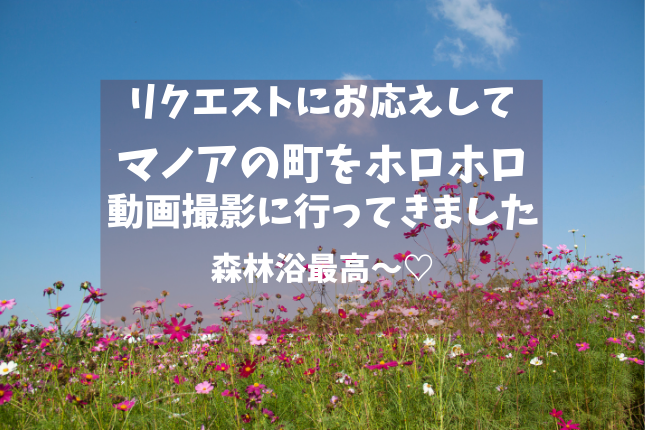 f:id:yukarinn-808:20200913142302p:plain f:id:yukarinn-808:20200913142302p:plain