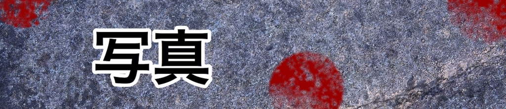 f:id:yukatanotabi:20160602011123j:plain