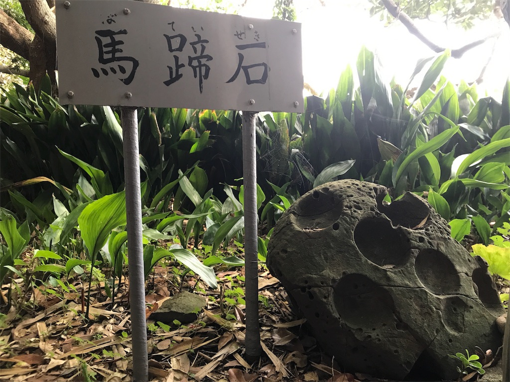 f:id:yukatanotabi:20170801221220j:image f:id:yukatanotabi:20170801221220j:image