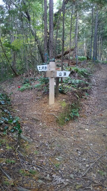 f:id:yukatsuyama:20181117165357j:image f:id:yukatsuyama:20181117165357j:image