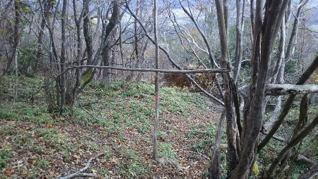 f:id:yukatsuyama:20181117165543j:image f:id:yukatsuyama:20181117165543j:image