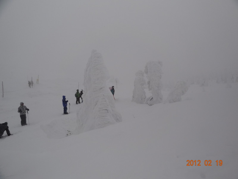 f:id:yuken1220:20120219115737j:image f:id:yuken1220:20120219115737j:image