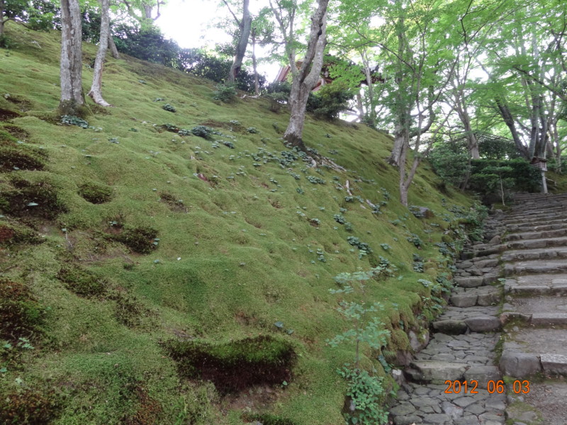 f:id:yuken1220:20120603113850j:image f:id:yuken1220:20120603113850j:image