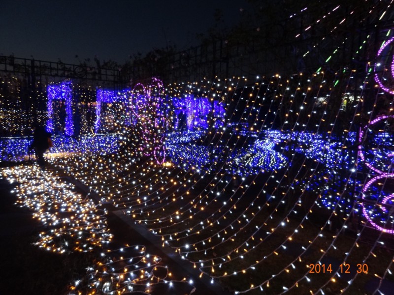 f:id:yuken1220:20141231041829j:image f:id:yuken1220:20141231041829j:image