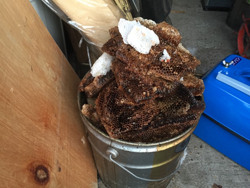 f:id:yuken1220:20160608184525j:image f:id:yuken1220:20160608184525j:image