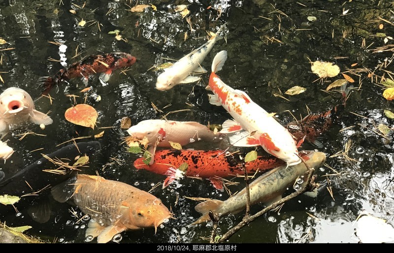 f:id:yuken1220:20181025055512j:image