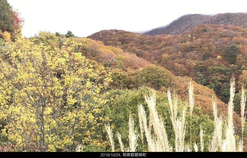 f:id:yuken1220:20181025060508j:image