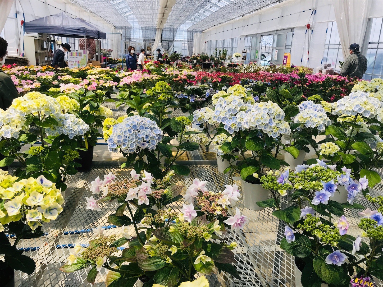 f:id:yuken1220:20200501010813j:image