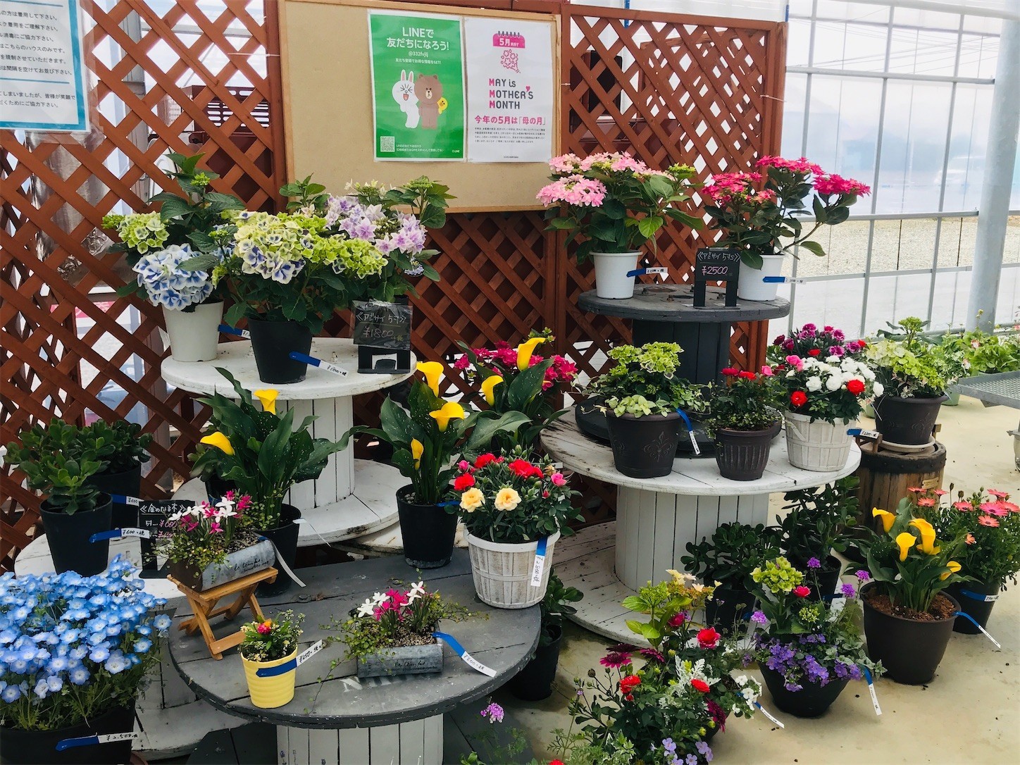 f:id:yuken1220:20200501010823j:image