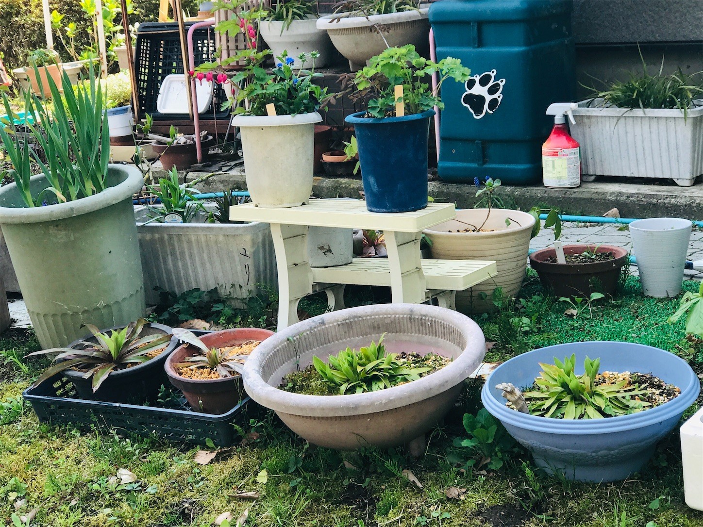 f:id:yuken1220:20200501010933j:image