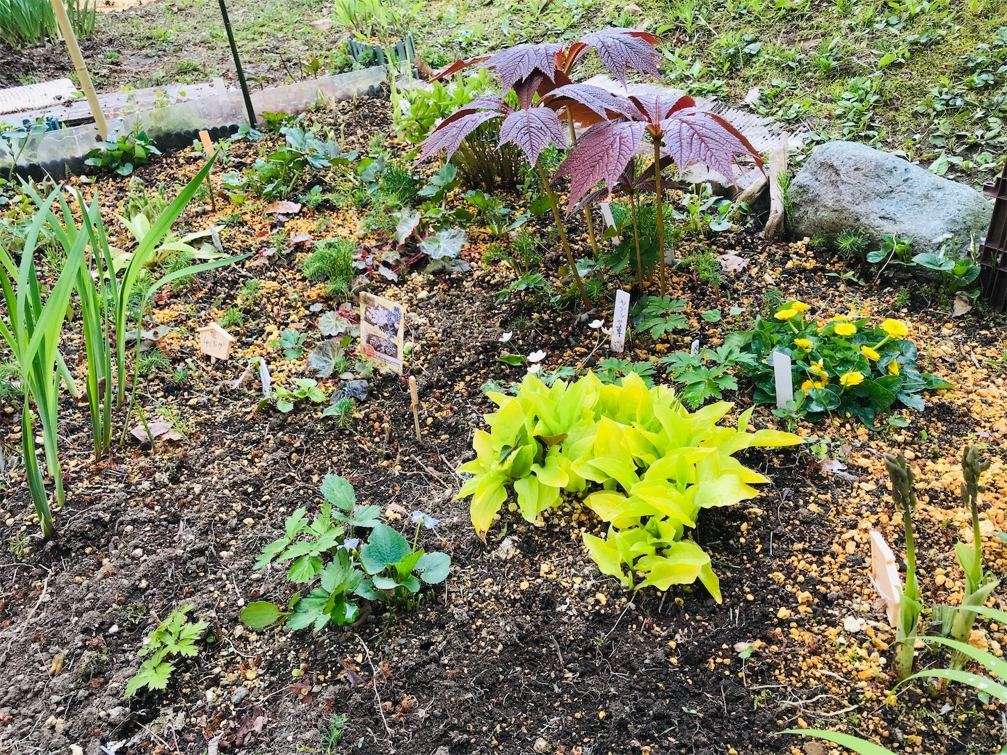 f:id:yuken1220:20200501010955j:image