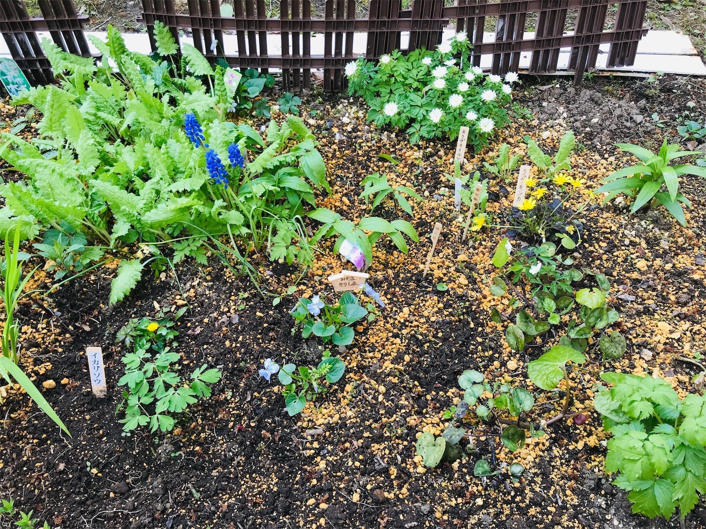 f:id:yuken1220:20200501011029j:image