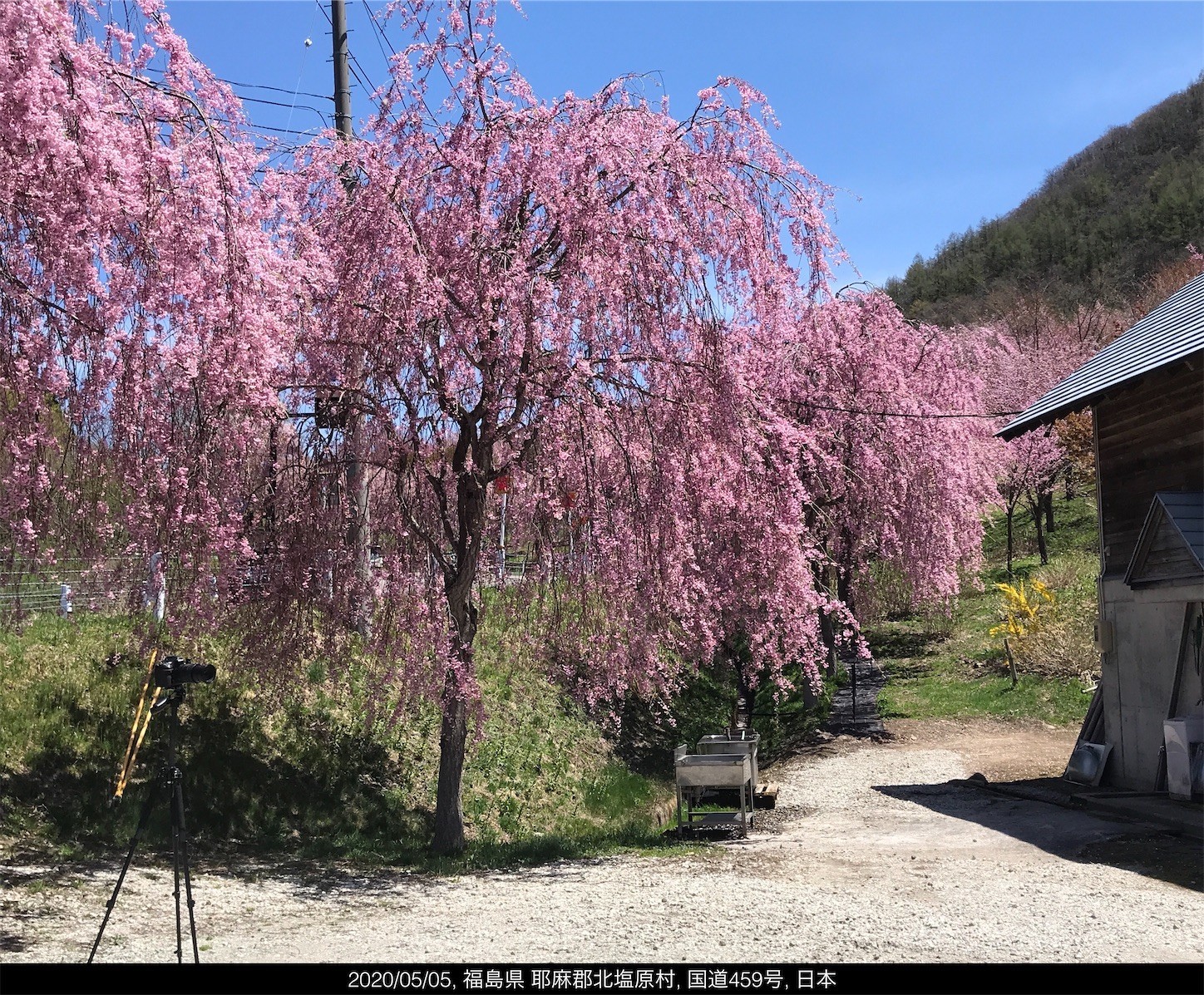 f:id:yuken1220:20200506050037j:image