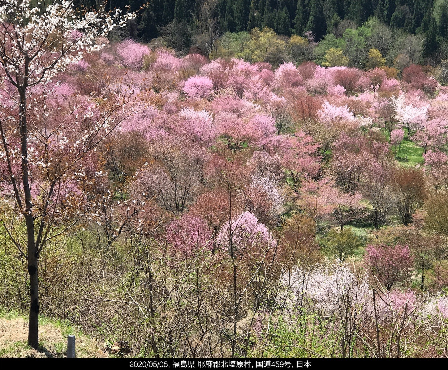 f:id:yuken1220:20200506050107j:image