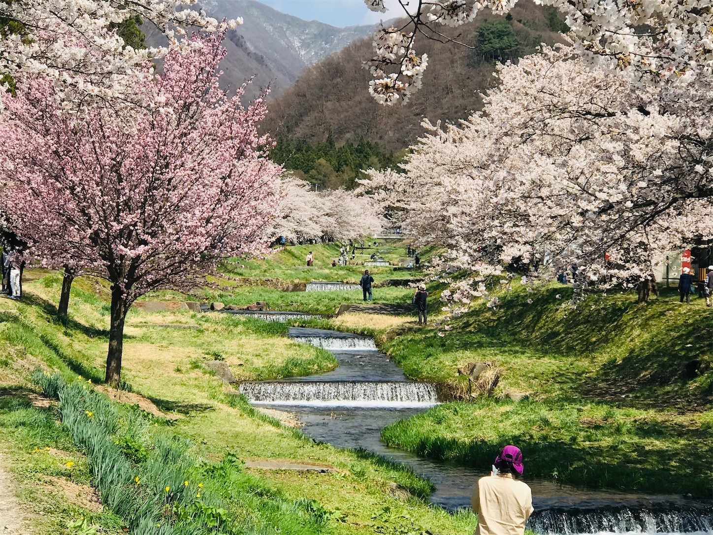 f:id:yuken1220:20210421055952j:image