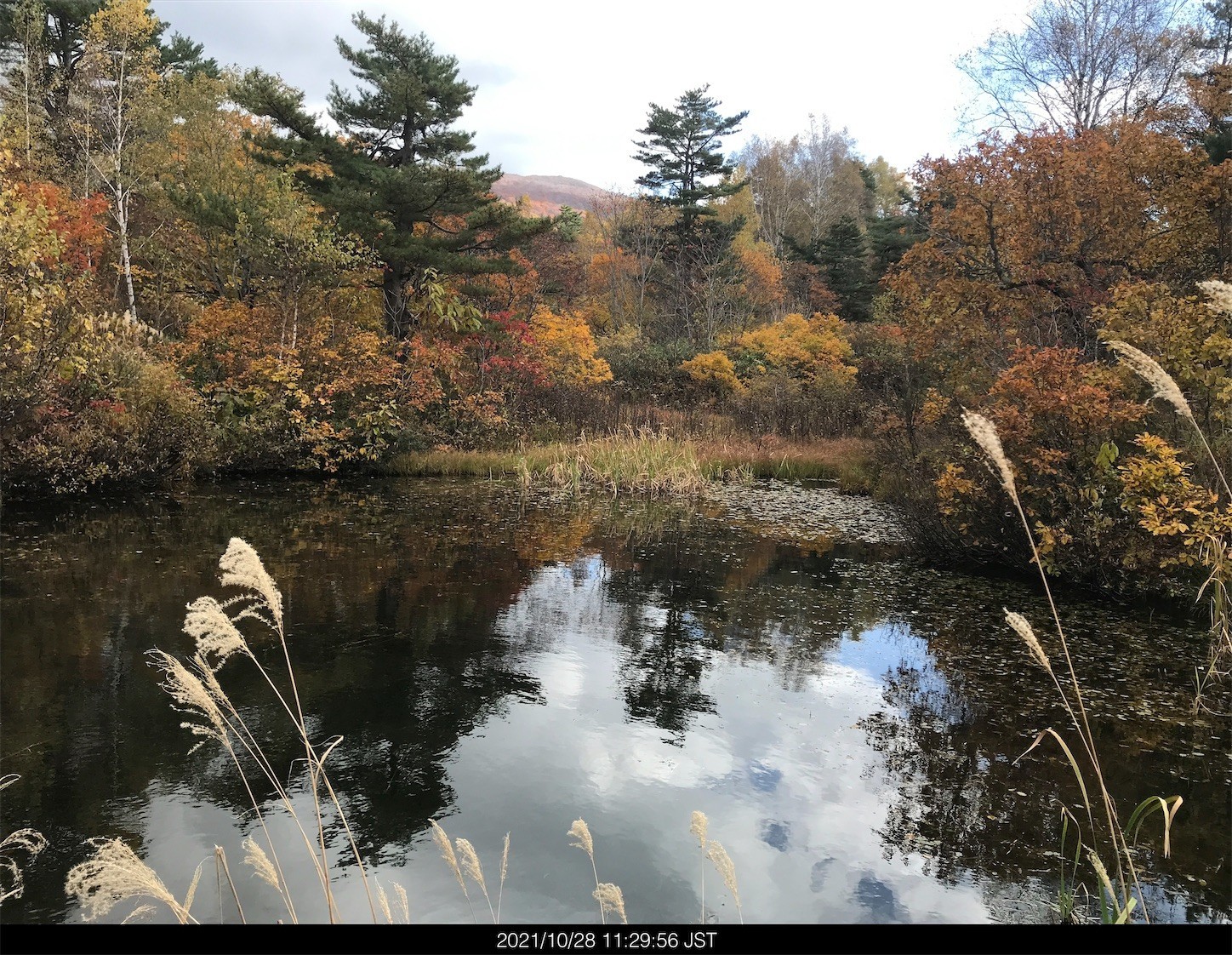 f:id:yuken1220:20211029062202j:image f:id:yuken1220:20211029062202j:image