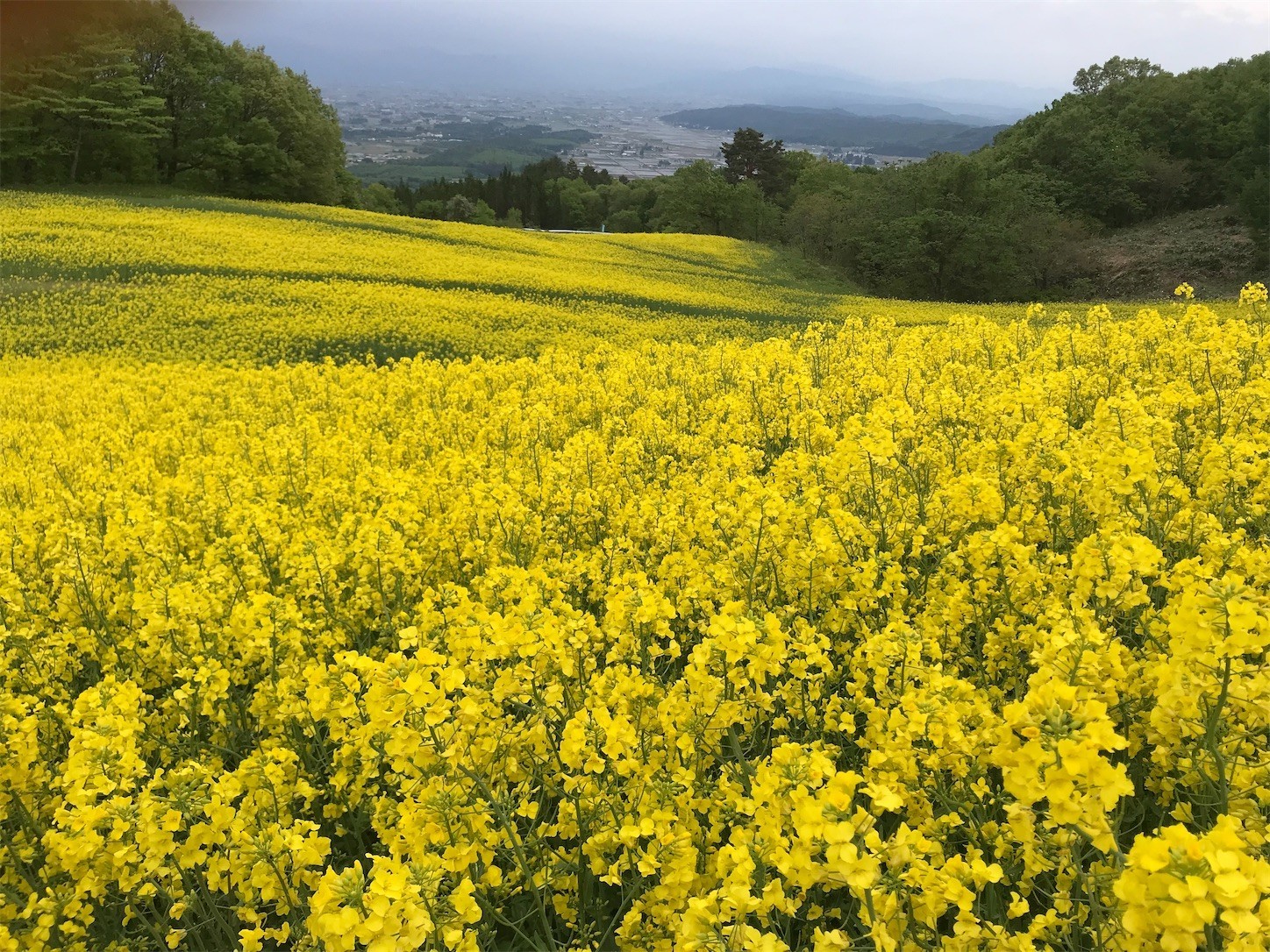 f:id:yuken1220:20220517024151j:image f:id:yuken1220:20220517024151j:image
