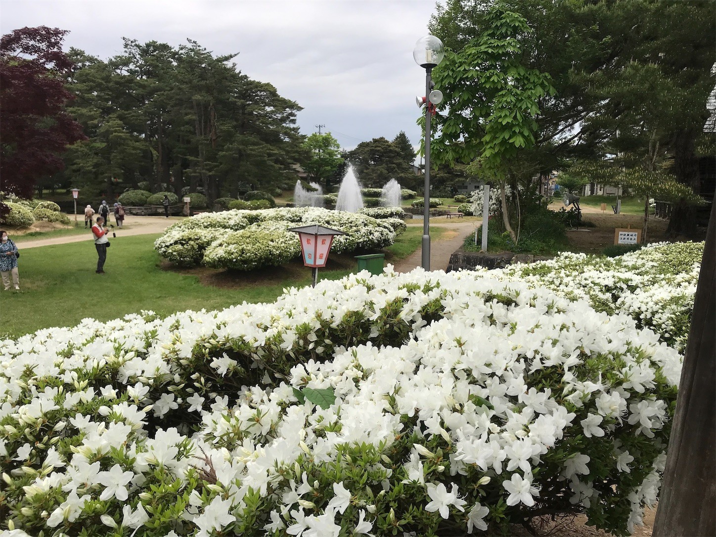 f:id:yuken1220:20220517025329j:image f:id:yuken1220:20220517025329j:image