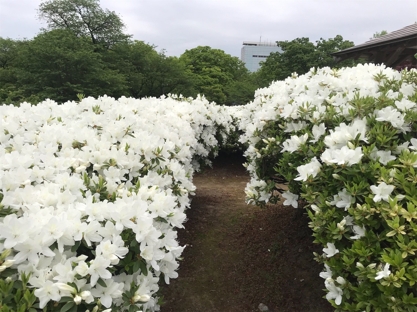 f:id:yuken1220:20220517025332j:image f:id:yuken1220:20220517025332j:image