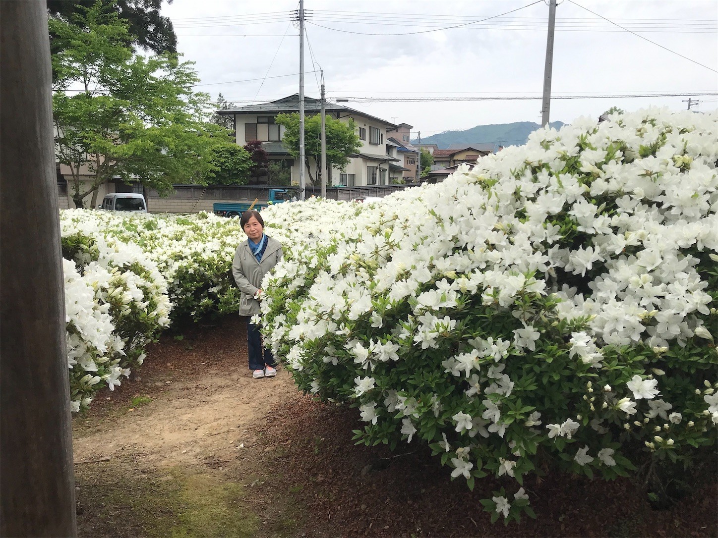 f:id:yuken1220:20220517025335j:image f:id:yuken1220:20220517025335j:image