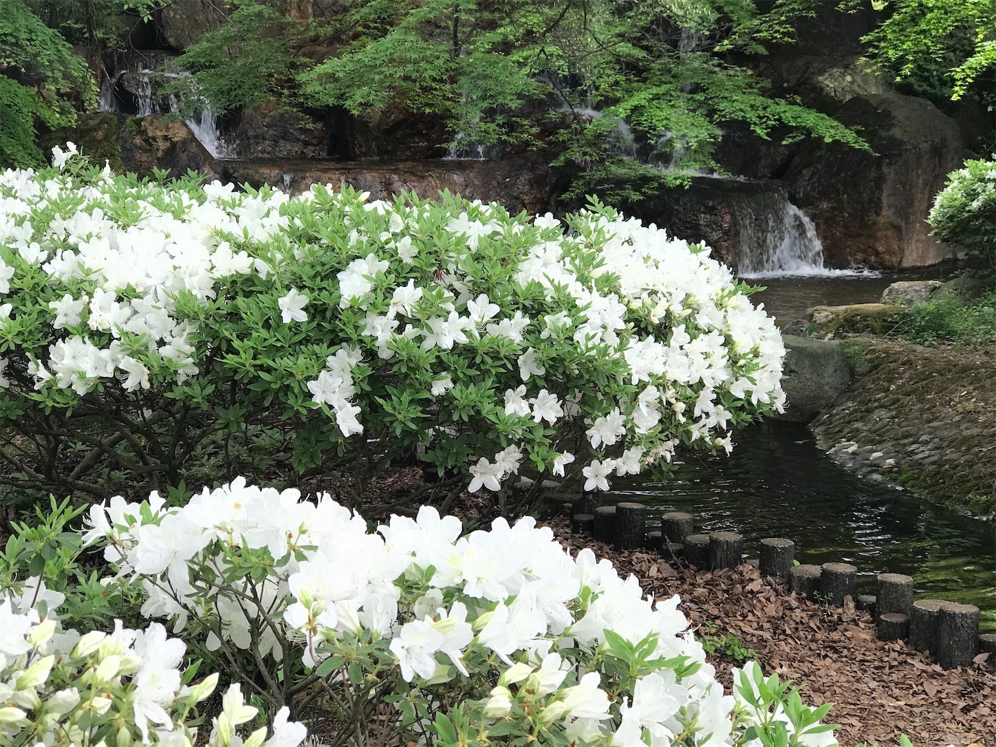 f:id:yuken1220:20220517025339j:image f:id:yuken1220:20220517025339j:image