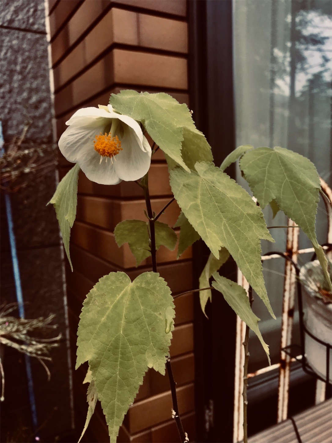 f:id:yuken1220:20220926031803j:image