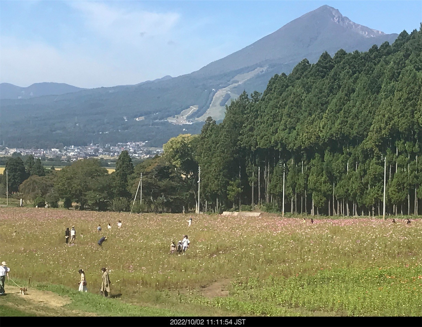 f:id:yuken1220:20221003041312j:image f:id:yuken1220:20221003041312j:image