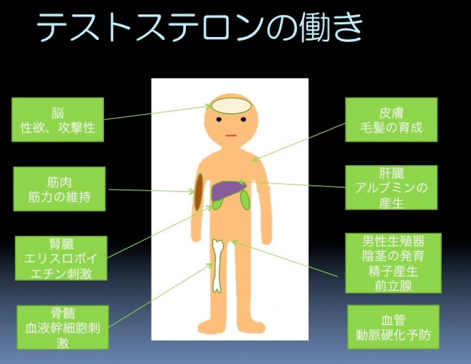 f:id:yuketsugo:20190222221826j:plain f:id:yuketsugo:20190222221826j:plain