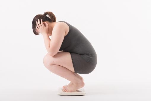 f:id:yuki-alfort:20201122171411p:plain