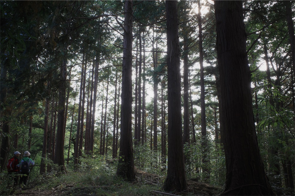 f:id:yuki-hyse:20191110200903j:image