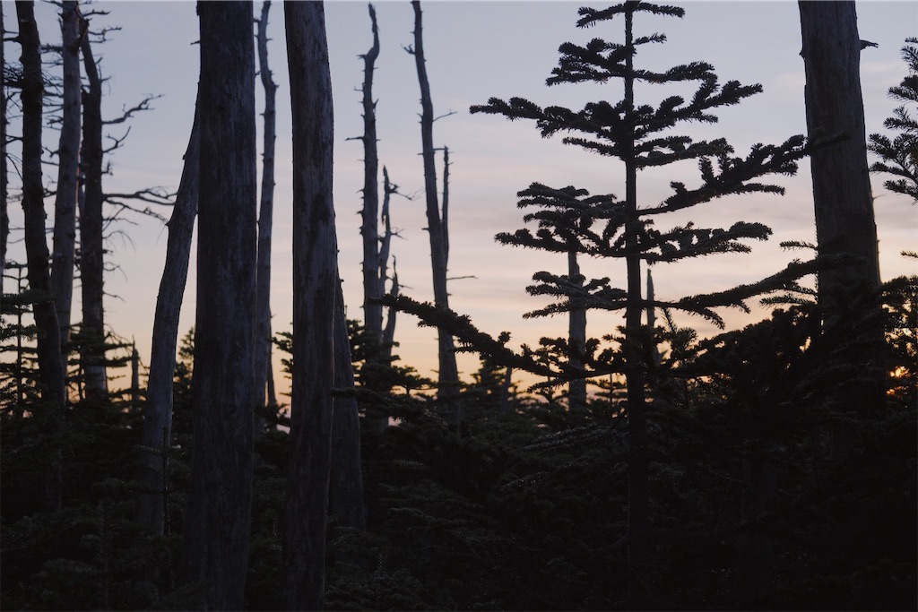 f:id:yuki-hyse:20191110201005j:image