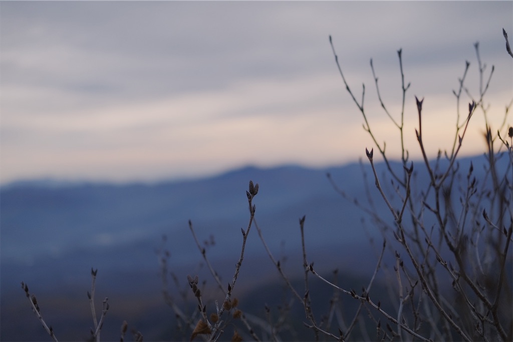 f:id:yuki-hyse:20191110201015j:image