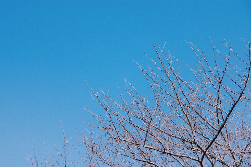 f:id:yuki-hyse:20200101233233j:image