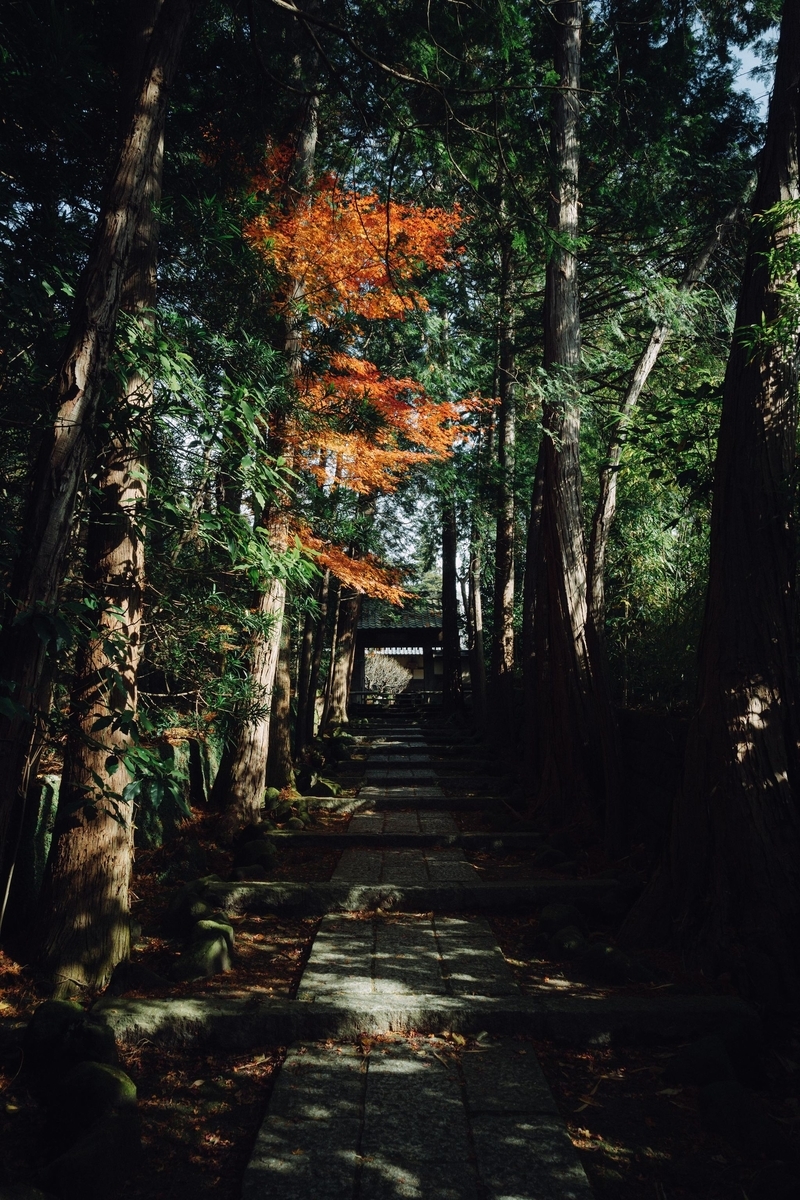f:id:yuki-hyse:20220101084418j:plain