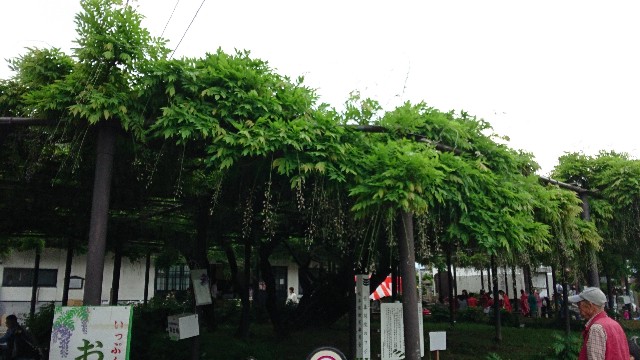 f:id:yuki-ka119:20180509124436j:image f:id:yuki-ka119:20180509124436j:image