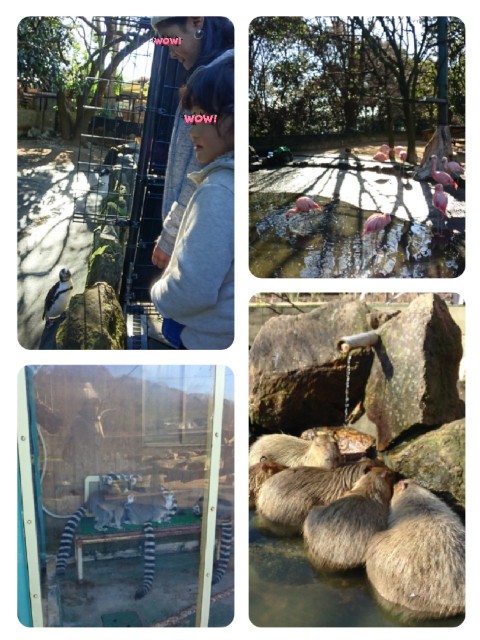 f:id:yuki-ka119:20190109124847j:image
