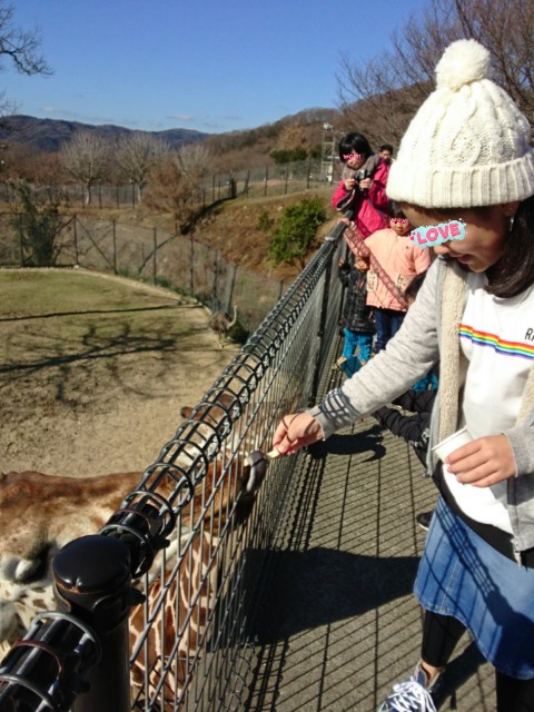 f:id:yuki-ka119:20190111065726j:image