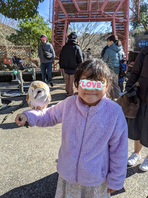 f:id:yuki-ka119:20200113121702j:image f:id:yuki-ka119:20200113121702j:image