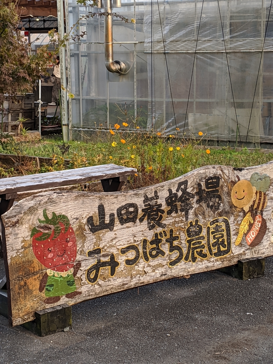 f:id:yuki-memory:20191114182445j:plain