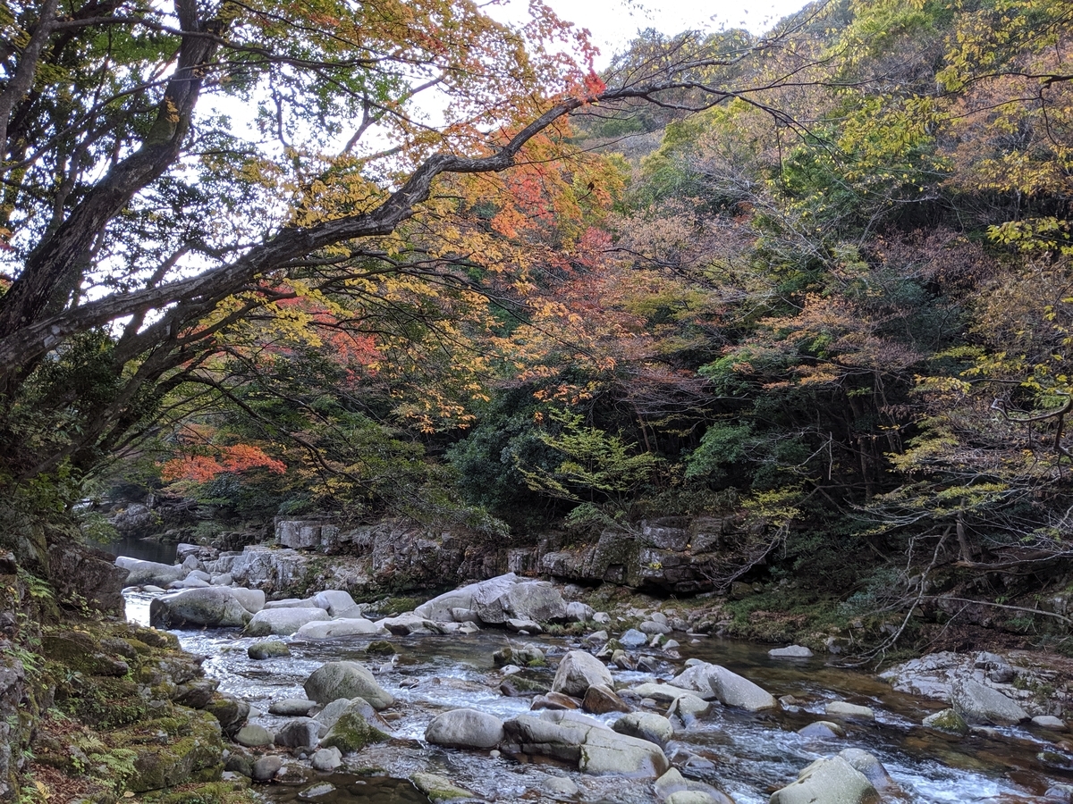 f:id:yuki-memory:20191114214539j:plain