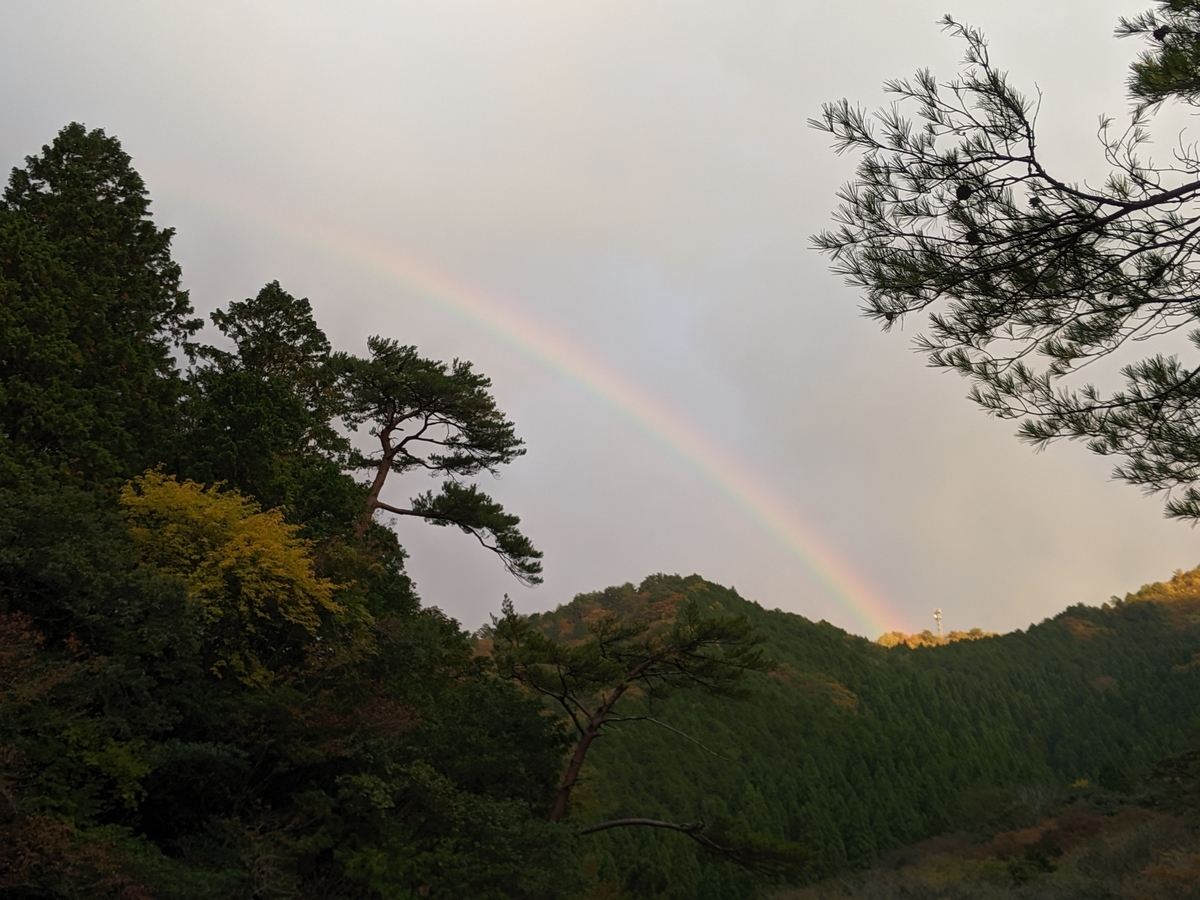 f:id:yuki-memory:20191114214634j:plain