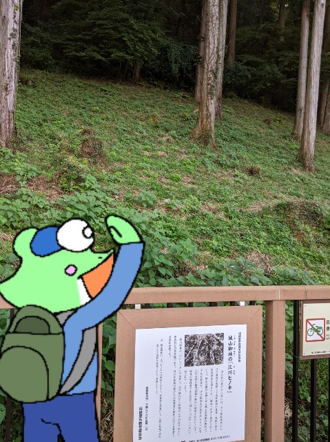 f:id:yuki-snu2:20211111220325j:image f:id:yuki-snu2:20211111220325j:image