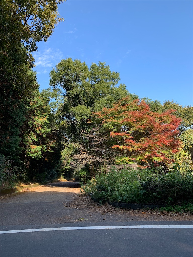f:id:yuki00182746:20181113150941j:image