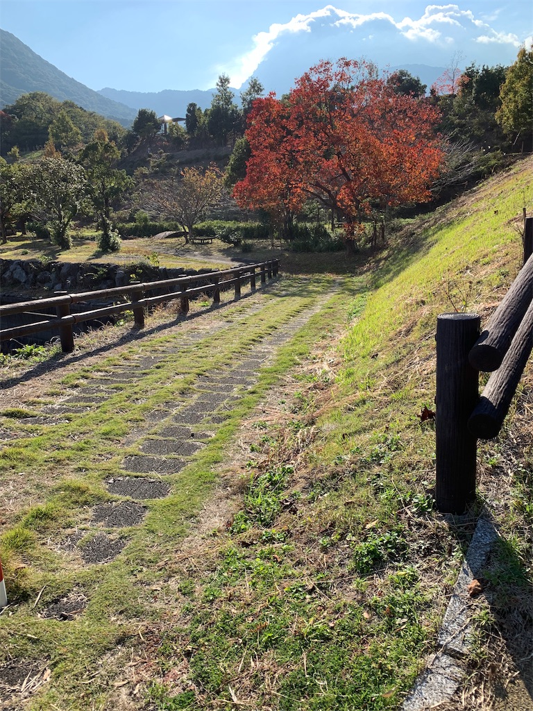 f:id:yuki00182746:20181113150945j:image