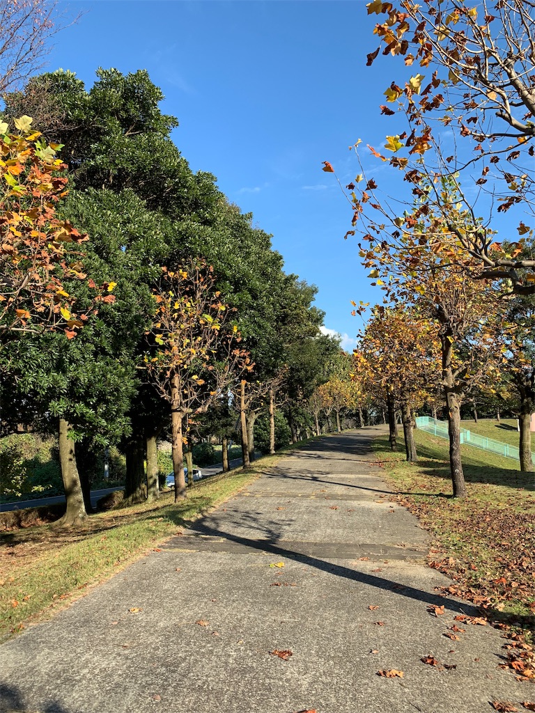 f:id:yuki00182746:20181113151112j:image
