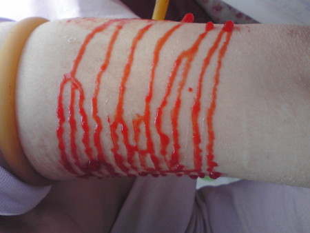 f:id:yuki0081:20110404144217j:image
